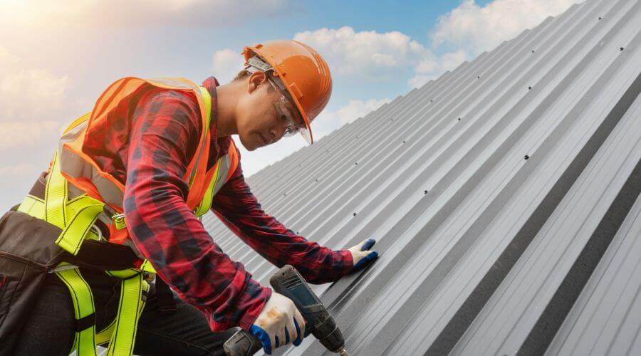 Professional gutter cleaning in Fruitland, MD